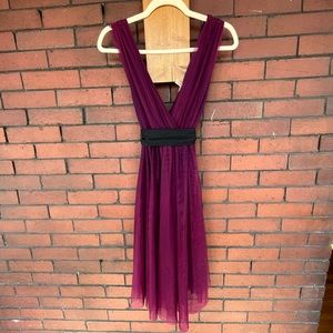 Anthropologie burgundy/purple dress
